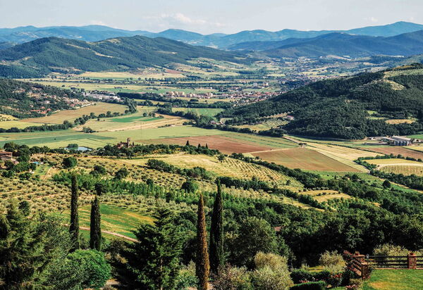 Villa Paradiso: Ansichten