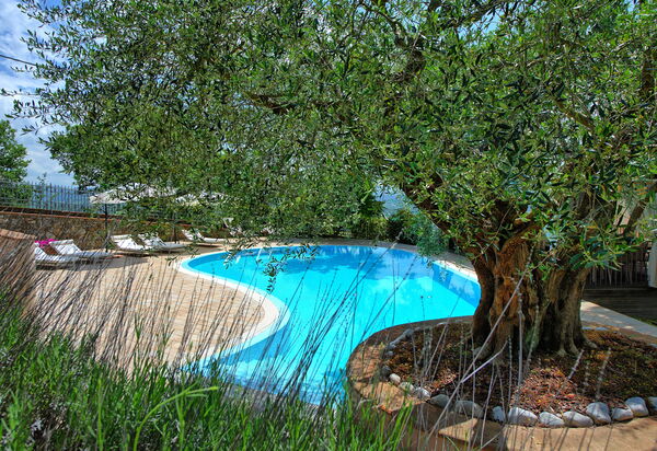 Villa Paradiso: Garten, Schwimmbad