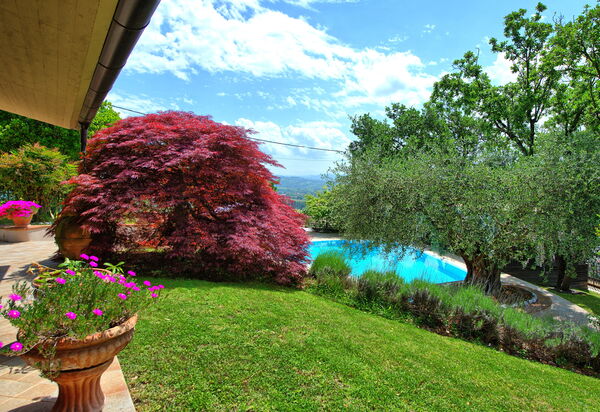 Villa Paradiso: Garten