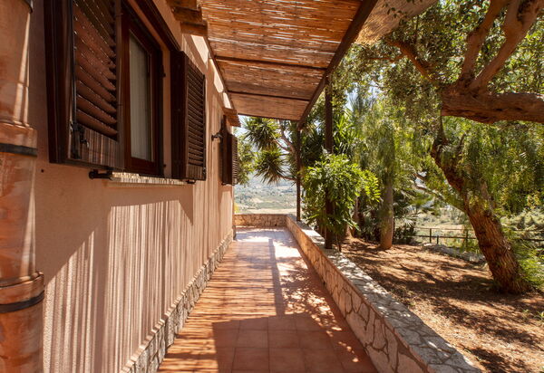 Villa Petra: Draussen, Garten