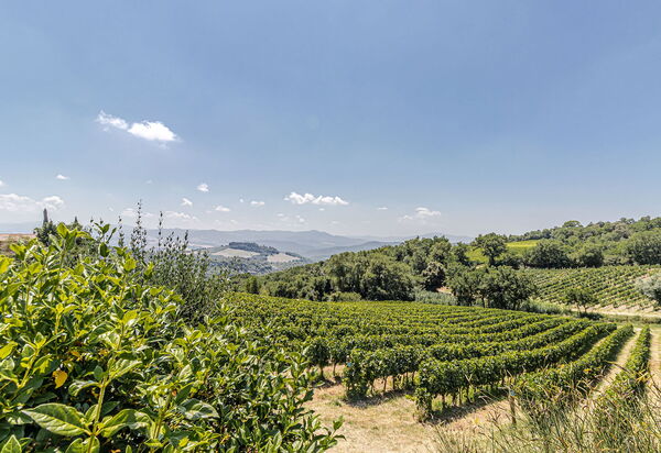 Chateau La Siroque: Udendørs, Udvendige, Visninger