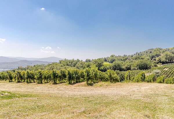 Chateau La Siroque: Udendørs, Udvendige, Visninger