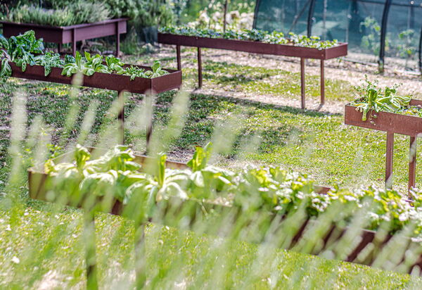 Chateau La Siroque: Have, Udendørs, Udvendige