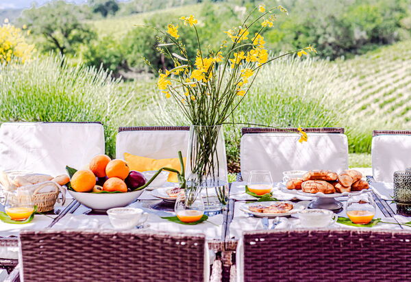 Chateau La Siroque: Udendørs, Udvendige