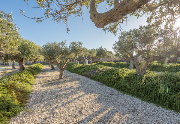 Villa Partenope: Außen, Draussen, Garten