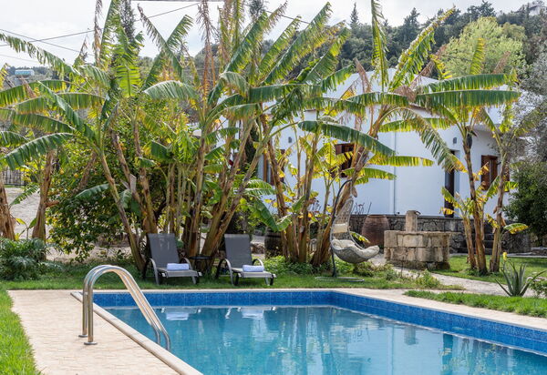 Klapas: бассейн, Сад, Экстерьеры