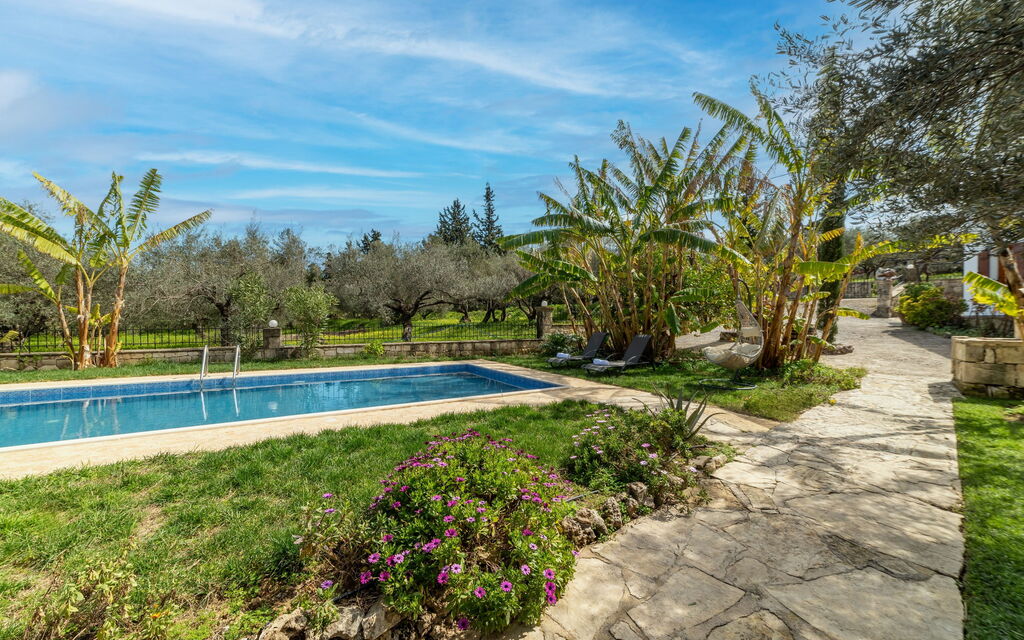 Klapas: Esterni, Giardino, Piscina