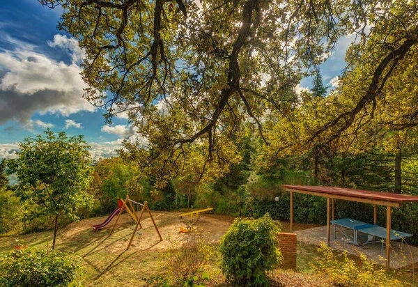 Leccino: Have, Udendørs, Udvendige, Visninger