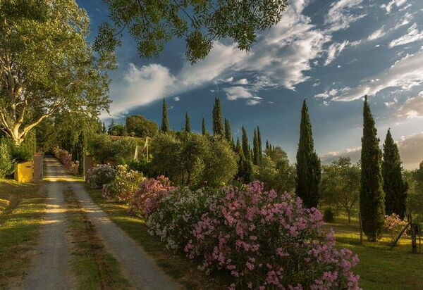 Leccino: Have, Udendørs, Udvendige, Visninger