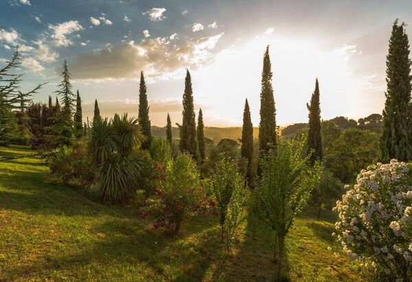 Leccino: Have, Udendørs, Udvendige, Visninger