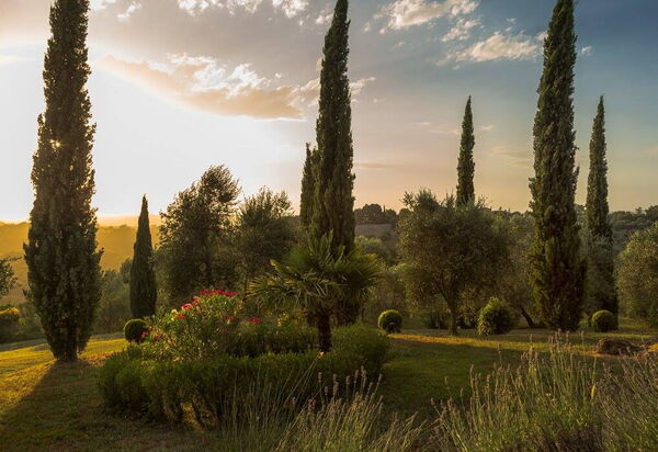 Leccino: Udendørs, Udvendige, Visninger