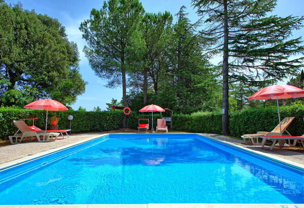 Leccino: Have, pool, Udendørs