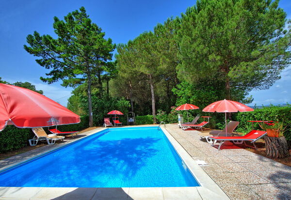 Leccino: Have, pool, Udendørs