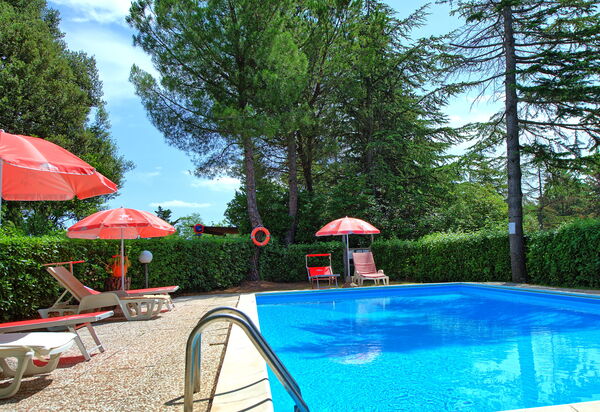 Leccino: Have, pool, Udendørs