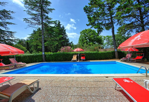 Leccino: Have, pool, Udendørs