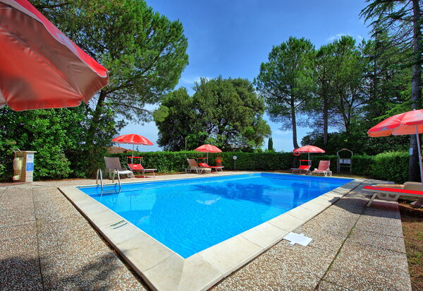 Leccino: Have, pool, Udendørs