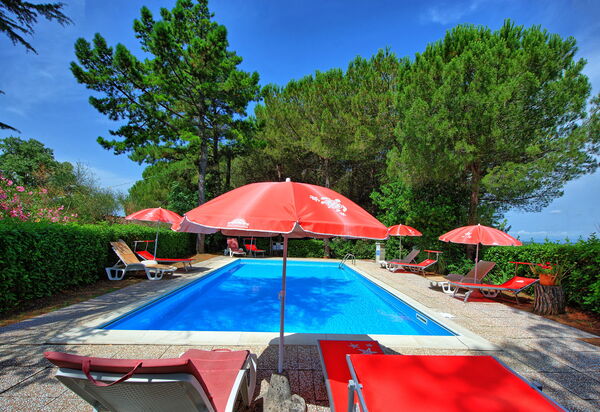 Leccino: Have, pool, Udendørs