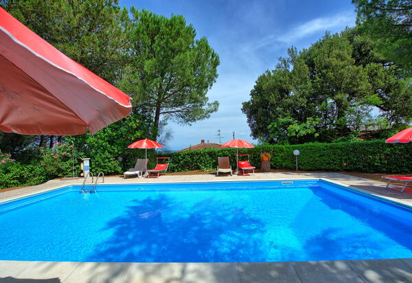 Leccino: Have, pool, Udendørs