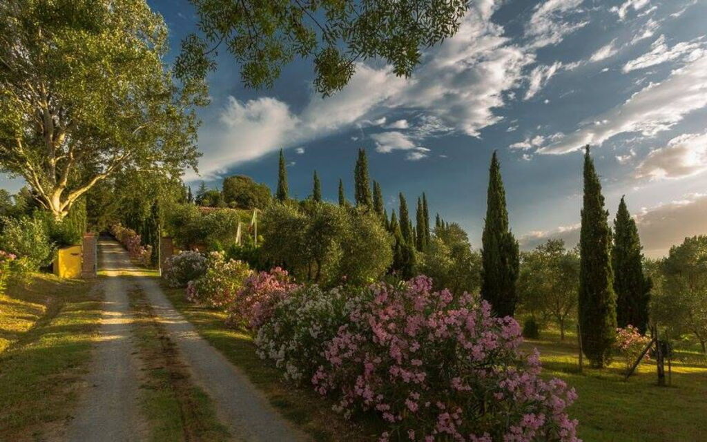 Leccino: Exteriör, Trädgård, Utomhus, Visningar