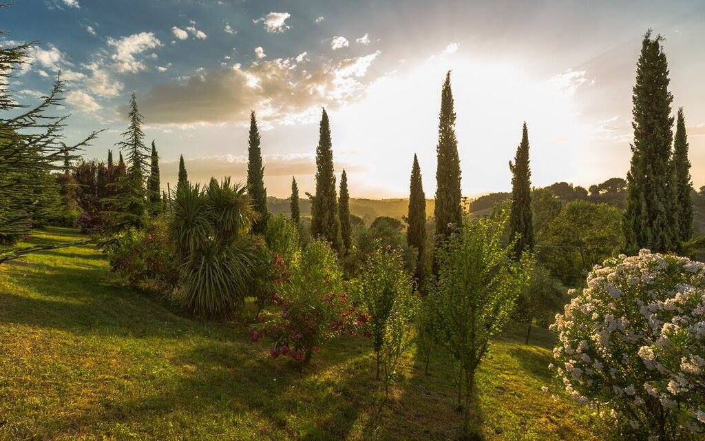 Leccino: Exteriör, Trädgård, Utomhus, Visningar