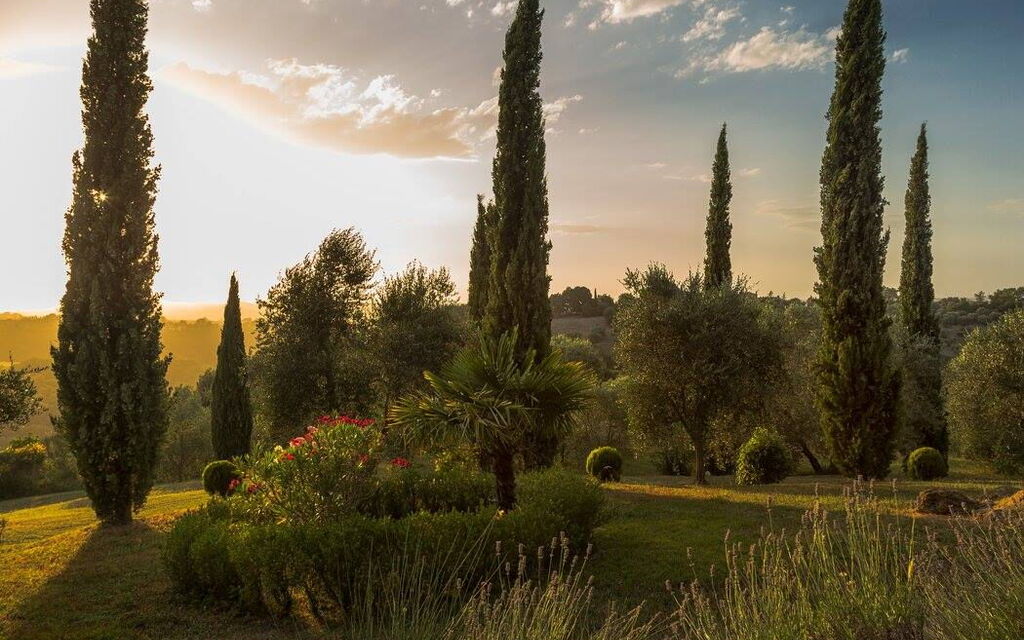 Leccino: Exteriör, Utomhus, Visningar