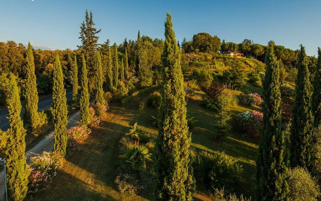 Leccino: Exteriör, Utomhus, Visningar