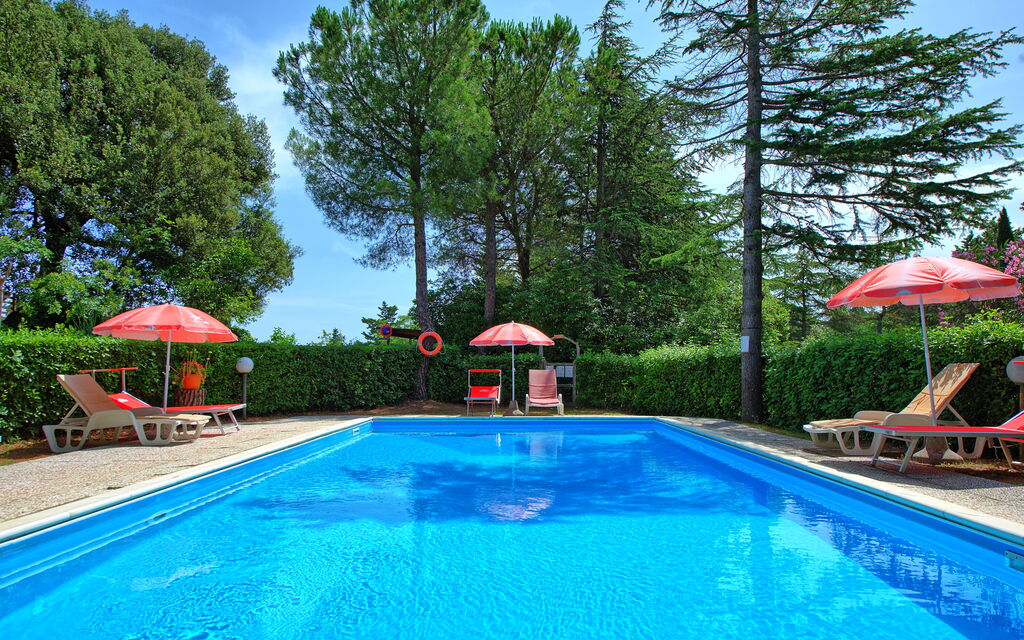 Leccino: slå samman, Trädgård, Utomhus