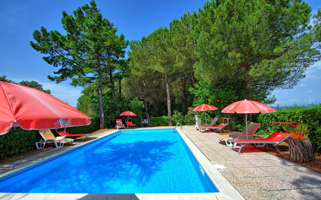 Leccino: slå samman, Trädgård, Utomhus