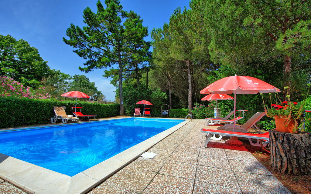 Leccino: slå samman, Trädgård, Utomhus