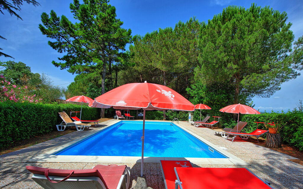 Leccino: slå samman, Trädgård, Utomhus