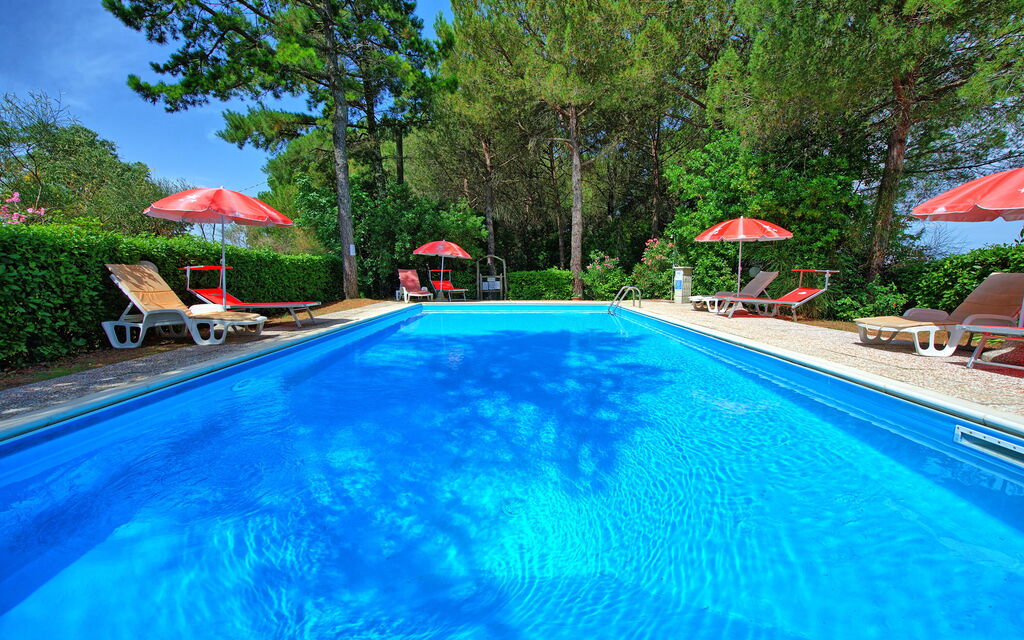 Leccino: slå samman, Trädgård, Utomhus