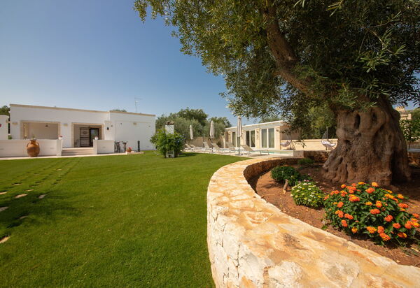 Terra Mater: Открытый, Сад, Экстерьеры