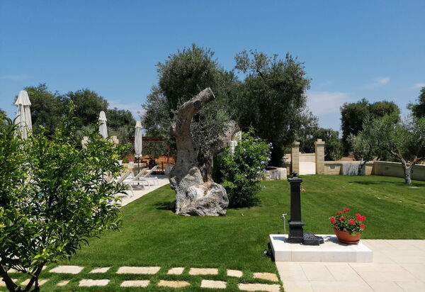 Terra Mater: Открытый, Сад, Экстерьеры