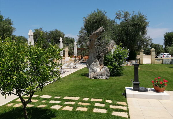 Terra Mater: Открытый, Сад, Экстерьеры