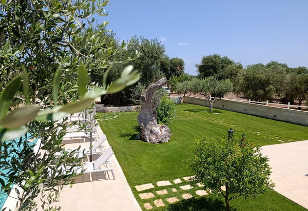 Terra Mater: бассейн, Открытый, Сад, Экстерьеры