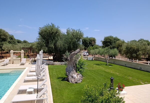 Terra Mater: бассейн, Открытый, Сад, Экстерьеры