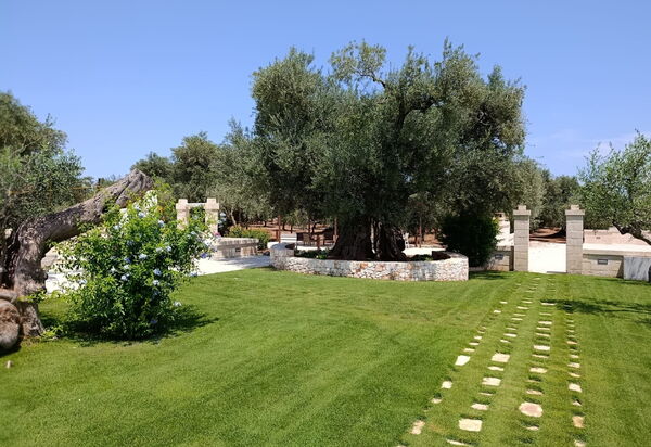 Terra Mater: Открытый, Сад, Экстерьеры