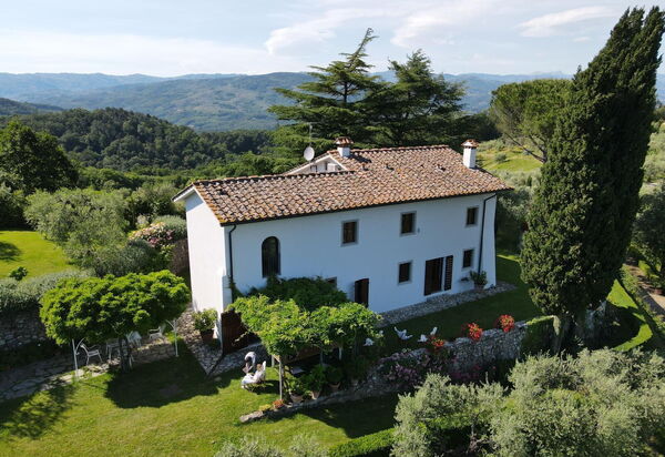 Villa Mami: Взгляды, Открытый, Сад, Экстерьеры