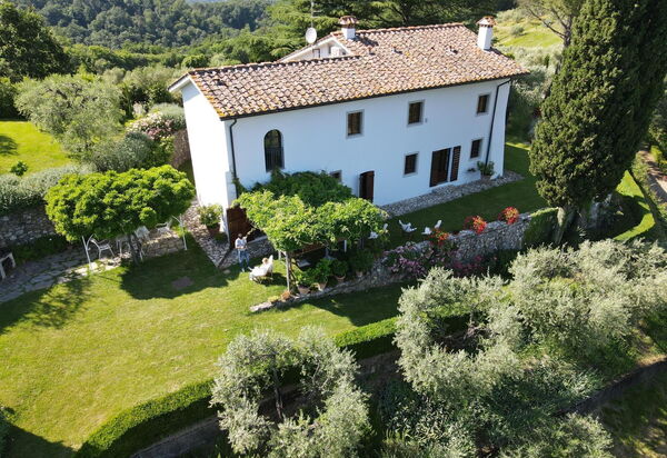 Villa Mami: Взгляды, Открытый, Сад, Экстерьеры