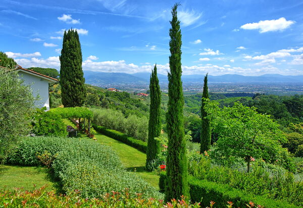 Villa Mami: Взгляды, Открытый, Сад