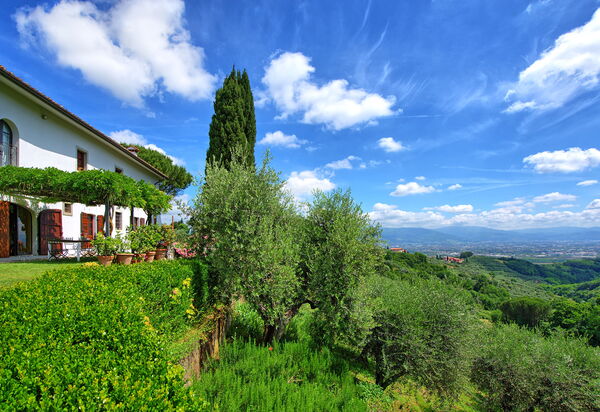 Villa Mami: Взгляды, Открытый, Сад, Экстерьеры