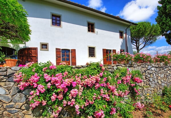 Villa Mami: Открытый, Сад, Экстерьеры