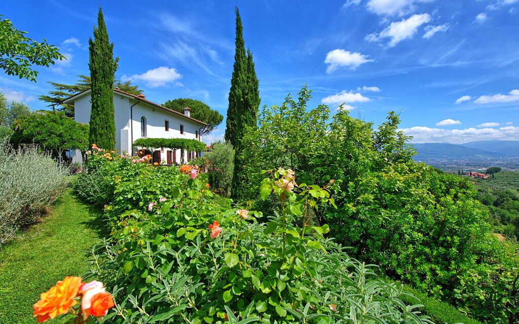 Villa Mami: all'aperto, Giardino