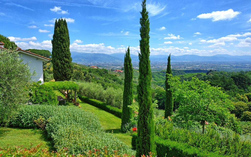 Villa Mami: all'aperto, Giardino, Vista Panoramica