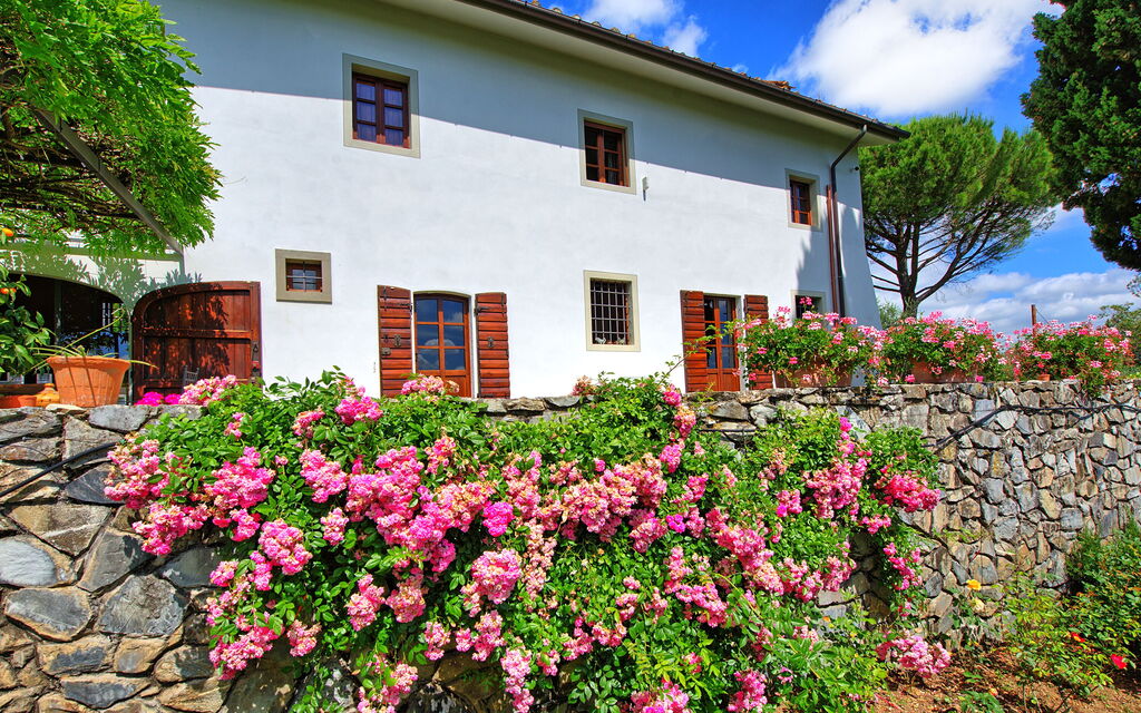 Villa Mami: all'aperto, Esterni, Giardino