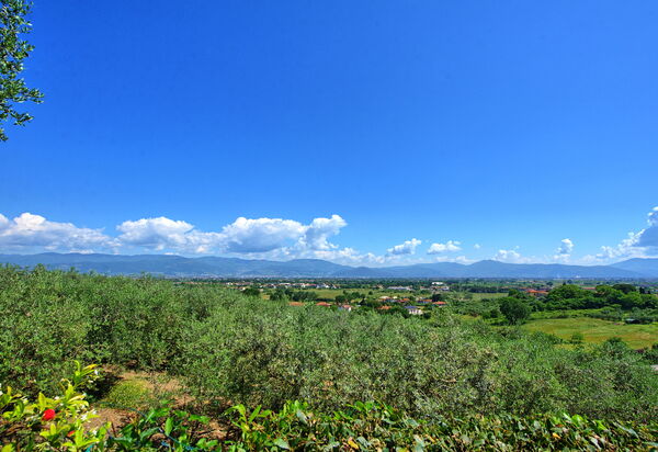 Villa Marusca: Außen, Draussen