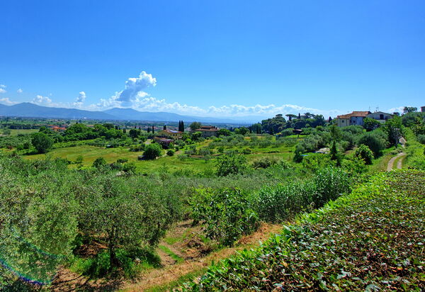 Villa Marusca: Ansichten, Außen, Draussen
