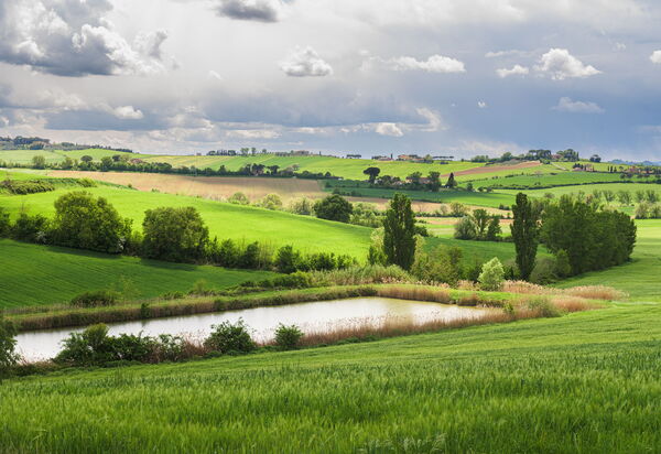 Villa la Contea: Ansichten, Außen, Draussen, Garten