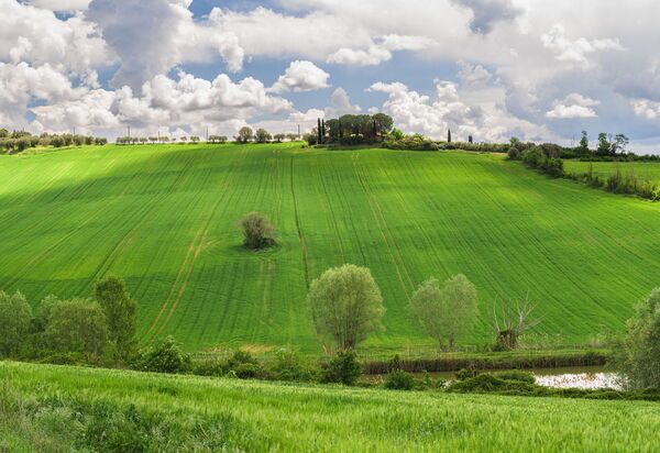 Villa la Contea: Ansichten