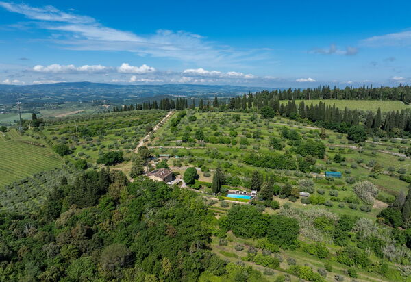 Tenuta Macericca: Ansichten